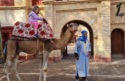 single parent holiday - dromedary riding outside Medina